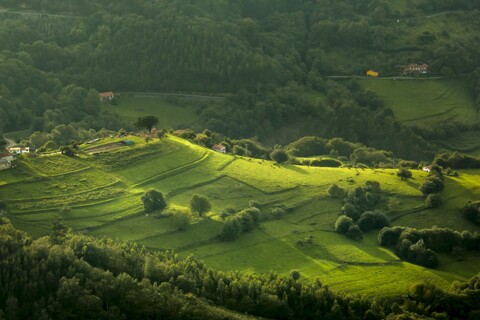 Sweet Home Asturias